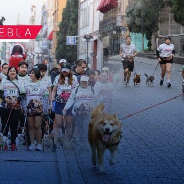 Por amor y seguridad: Puebla corre con sus lomitos contra el maltrato animal