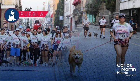 Por amor y seguridad: Puebla corre con sus lomitos contra el maltrato animal