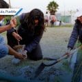 Reforestación en San Andrés Cholula: Más de 1,800 árboles sembrados