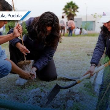 Reforestación en San Andrés Cholula: Más de 1,800 árboles sembrados