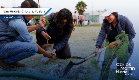 Reforestación en San Andrés Cholula: Más de 1,800 árboles sembrados
