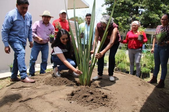 Gobierno de San Pedro Cholula reafirma su compromiso con la imagen urbana