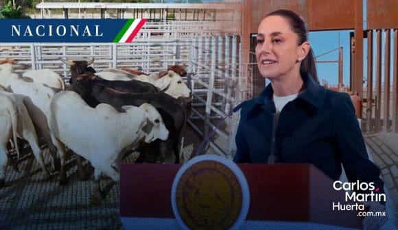 Sheinbaum busca acelerar reapertura de la frontera para exportación de ganado tras acuerdo con EE. UU.