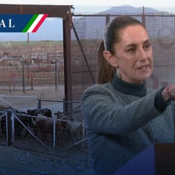 Sheinbaum califica de “exagerada” la decisión de EE.UU. de cerrar la frontera al ganado mexicano