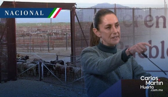 Sheinbaum califica de “exagerada” la decisión de EE.UU. de cerrar la frontera al ganado mexicano