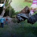 Tehuacán inicia reforestación con plantas endémicas en parques locales