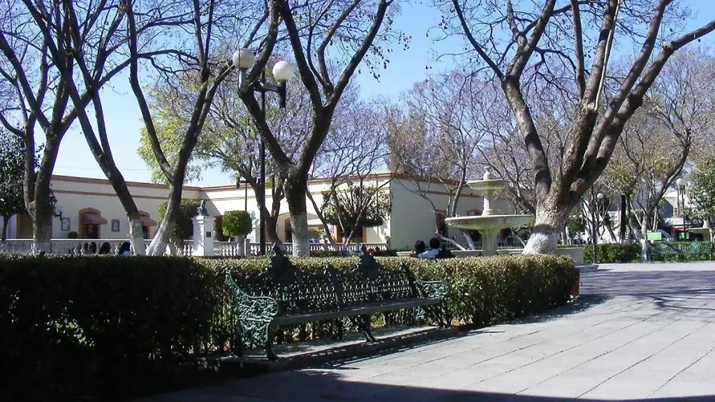 Tehuacán inicia reforestación con plantas endémicas en parques locales