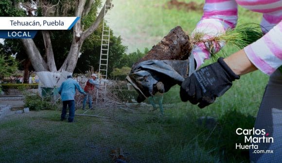 Tehuacán inicia reforestación con plantas endémicas en parques locales