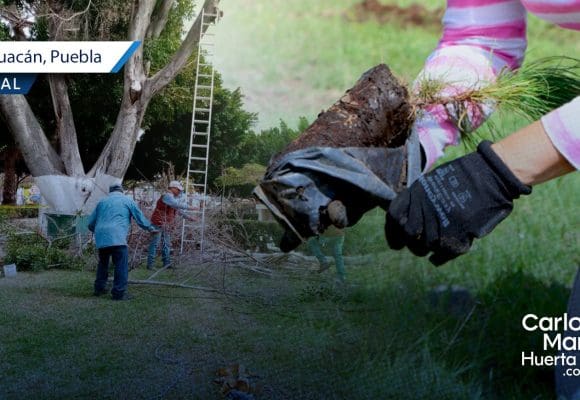 Tehuacán inicia reforestación con plantas endémicas en parques locales