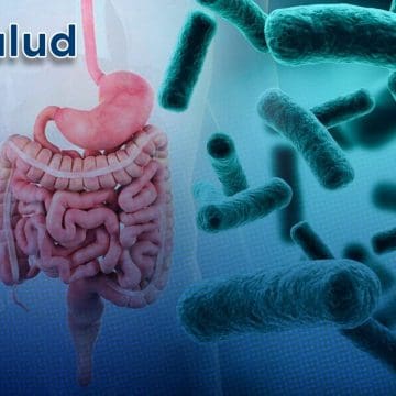 ¡Alerta! UNAM advierte por bacterias intestinales que podrían transmitir resistencia a antibióticos