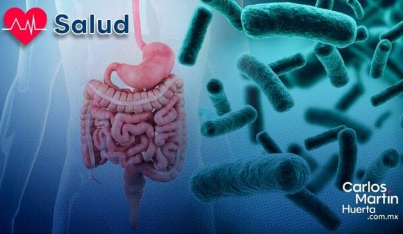¡Alerta! UNAM advierte por bacterias intestinales que podrían transmitir resistencia a antibióticos