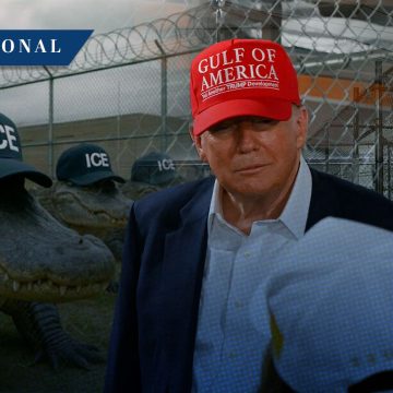 Alligator Alcatraz: Trump inaugura nueva prisión para migrantes rodeada de caimanes