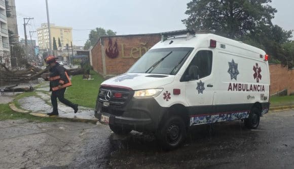 Mujer resulta lesionada por caída de árbol durante lluvia en la colonia La Paz