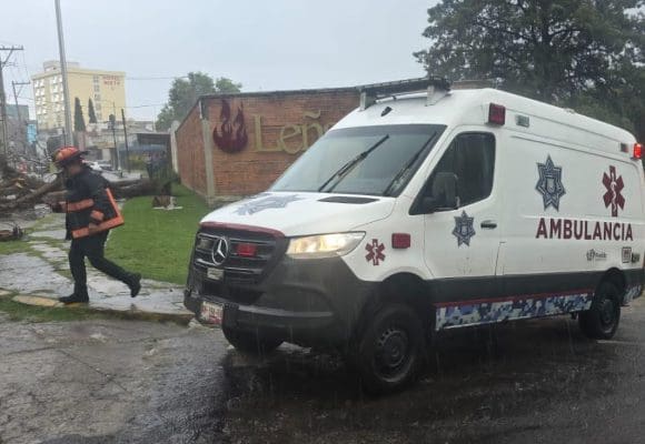 Mujer resulta lesionada por caída de árbol durante lluvia en la colonia La Paz