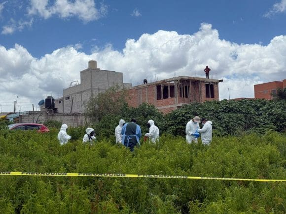 Puebla marca precedente: Primera exhumación canina por crueldad animal