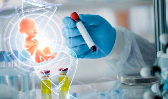Avance en fertilización in vitro permite bebés sanos con ADN de tres personas
