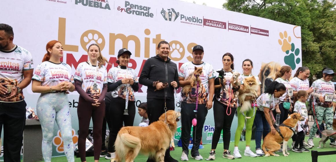 Puebla tendrá 27 Centros de Bienestar Animal para proteger a perros y gatos