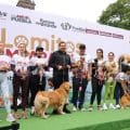 Puebla tendrá 27 Centros de Bienestar Animal para proteger a perros y gatos