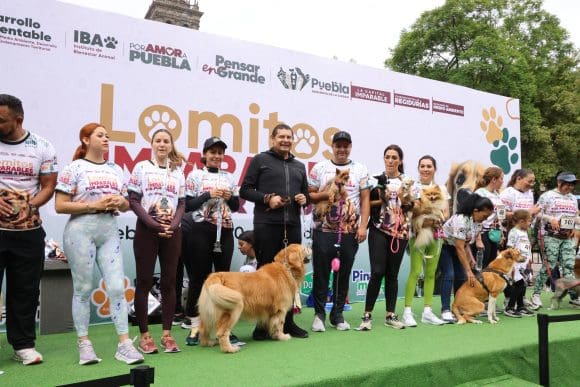 Puebla tendrá 27 Centros de Bienestar Animal para proteger a perros y gatos