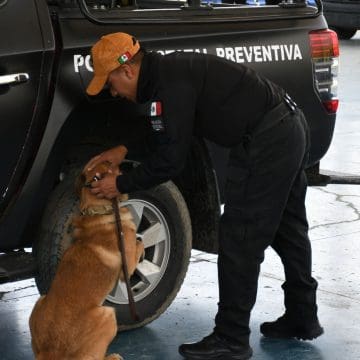 Puebla certifica a 16 instructores caninos para reforzar la seguridad pública