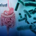 ¡Alerta! UNAM advierte por bacterias intestinales que podrían transmitir resistencia a antibióticos