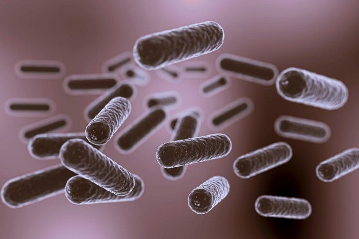 ¡Alerta! UNAM advierte por bacterias intestinales que podrían transmitir resistencia a antibióticos