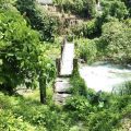 Autoridades intensifican búsqueda de menor arrastrada por río en Tlacotepec de Porfirio Díaz