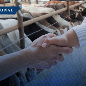México y EE.UU. firman plan binacional para combatir el gusano barrenador