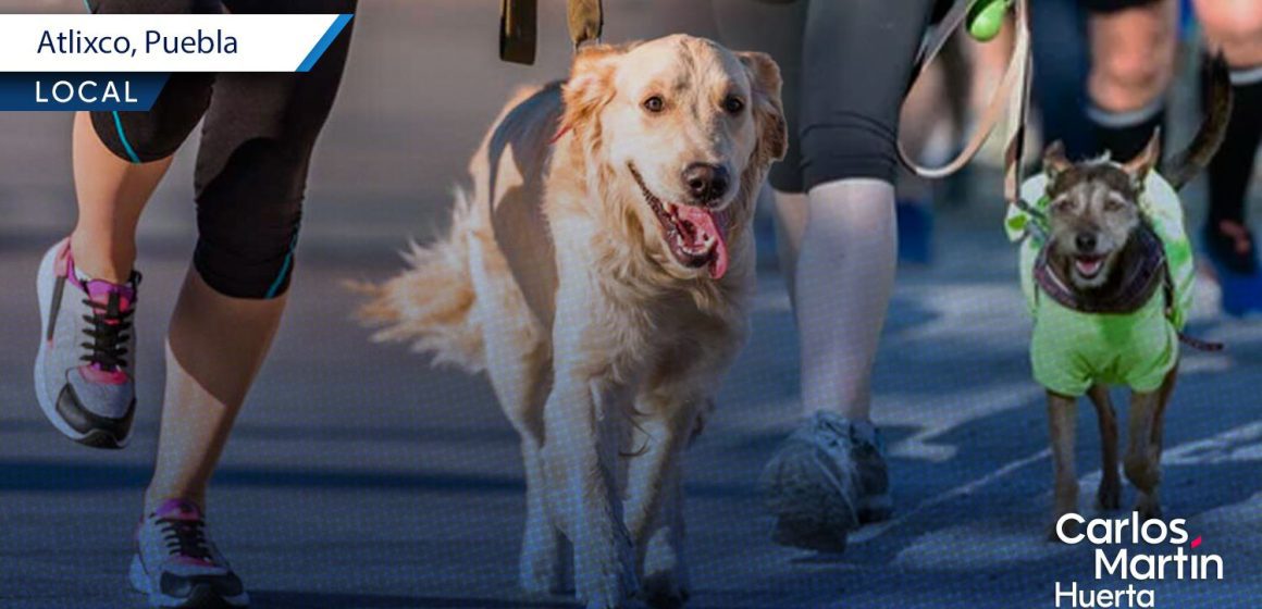 Atlixco invita a la carrera “Patitas Fugaces 2025” para promover el bienestar animal