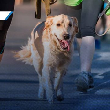 Atlixco invita a la carrera “Patitas Fugaces 2025” para promover el bienestar animal