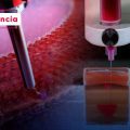 Avance en bioingeniería: Crean parche cardíaco bioimpreso que logra regenerar tejido muscular
