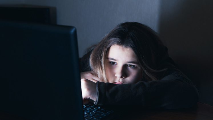 La otra cara del mundo digital: cómo protegerte en línea y evitar riesgos 2 Ciberbullying 1