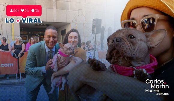 Conoce a Petunia, la bulldog coronada como el ‘Perro más feo del mundo 2025’