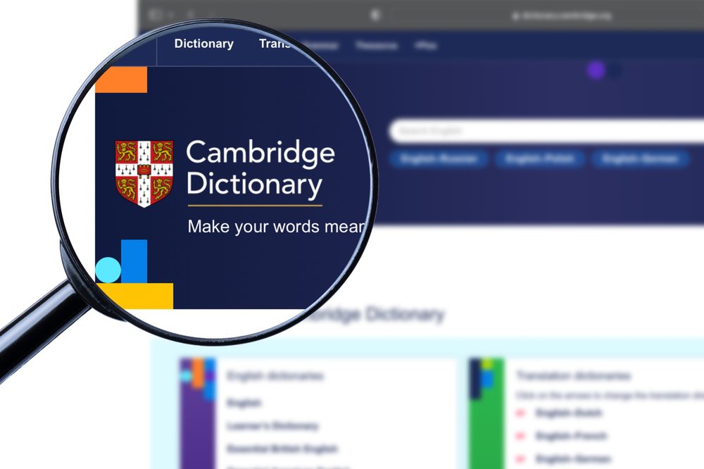 Delulu y Skibidi ahora son parte del Diccionario de Cambridge 3