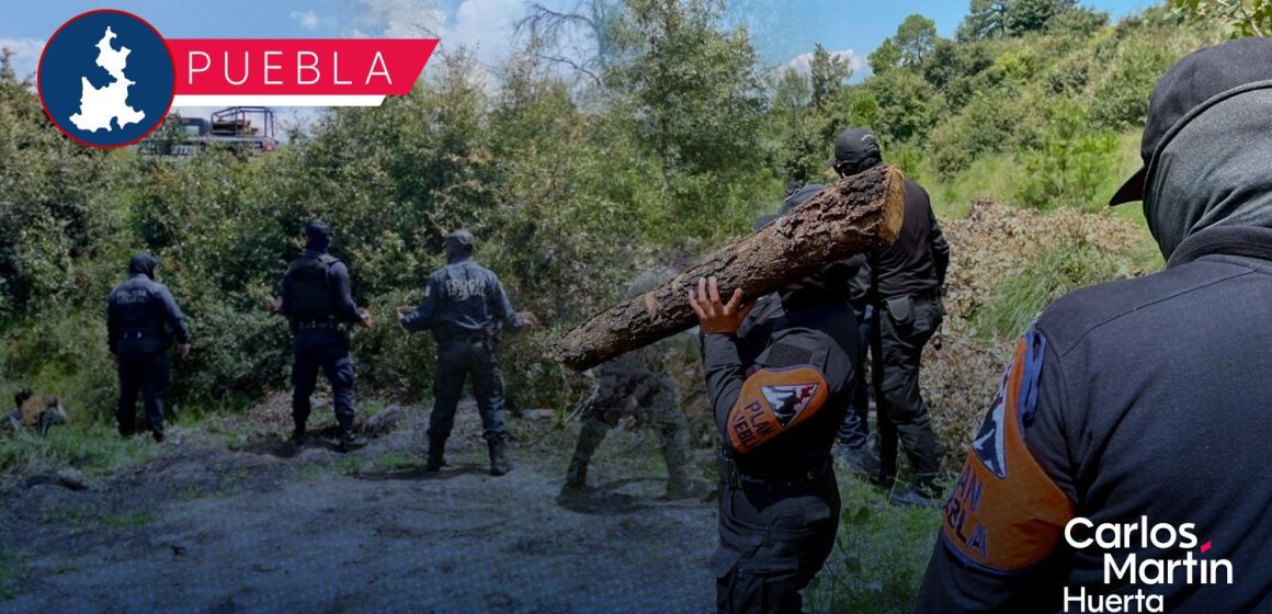 Desarticulan tres hornos clandestinos en zonas cercanas al parque La Malinche