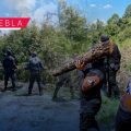 Desarticulan tres hornos clandestinos en zonas cercanas al parque La Malinche