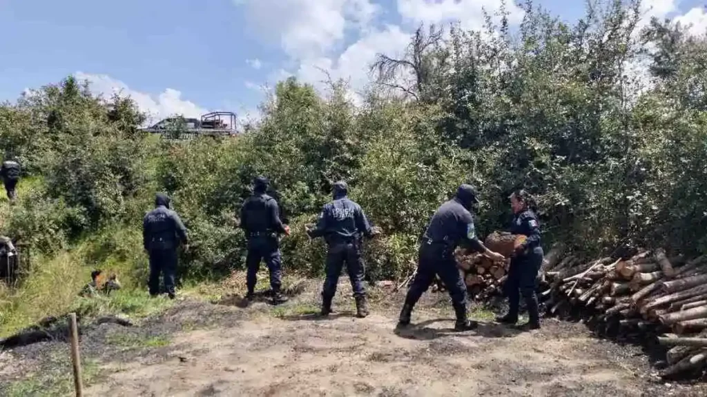 Desarticulan tres hornos clandestinos en zonas cercanas al parque La Malinche