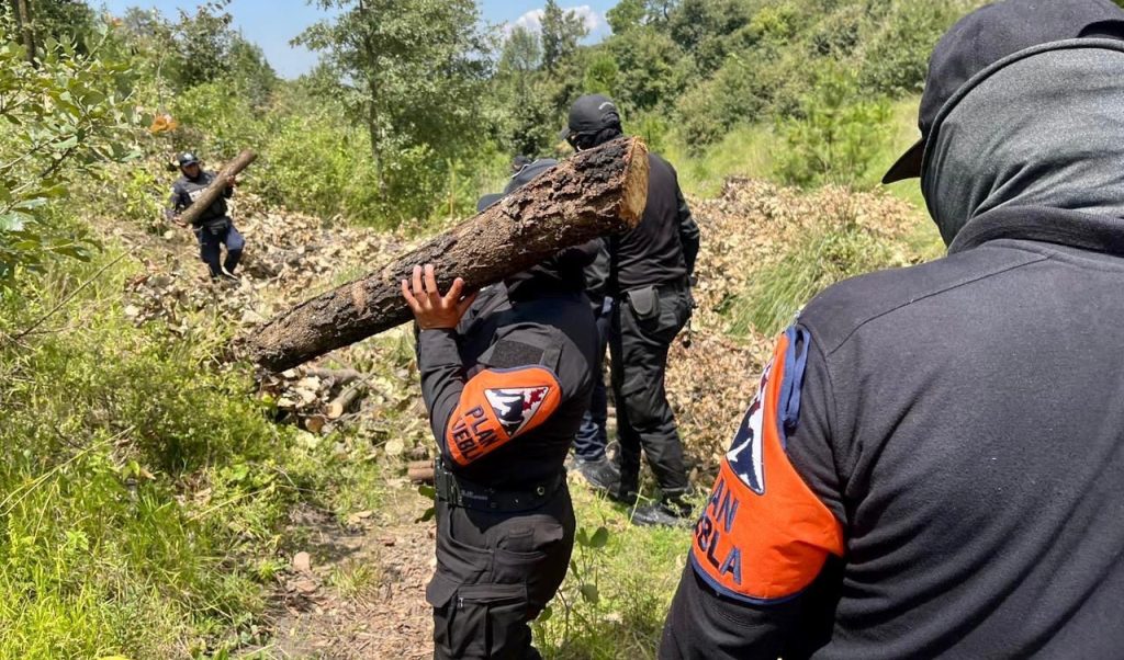 Desarticulan tres hornos clandestinos en zonas cercanas al parque La Malinche 3 e1754682478438