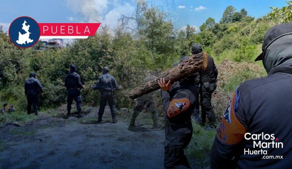 Desarticulan tres hornos clandestinos en zonas cercanas al parque La Malinche