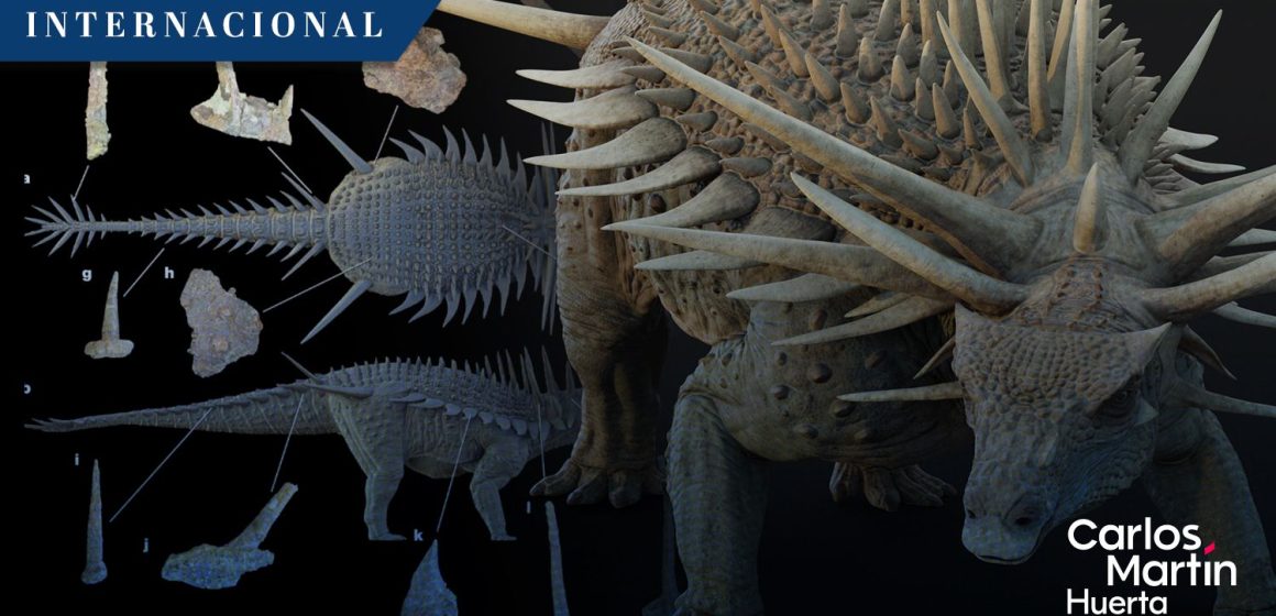 Descubren en Marruecos el fósil del anquilosaurio más antiguo del mundo