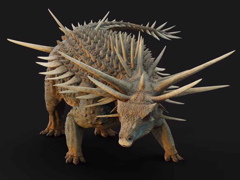 Descubren en Marruecos el fósil del anquilosaurio más antiguo del mundo 1 Descubren en Marruecos el fósil del anquilosaurio más antiguo del mundo