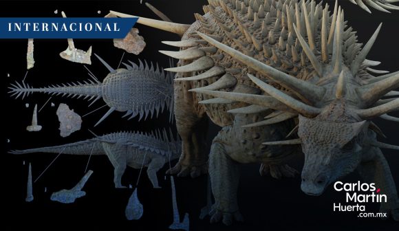 Descubren en Marruecos el fósil del anquilosaurio más antiguo del mundo