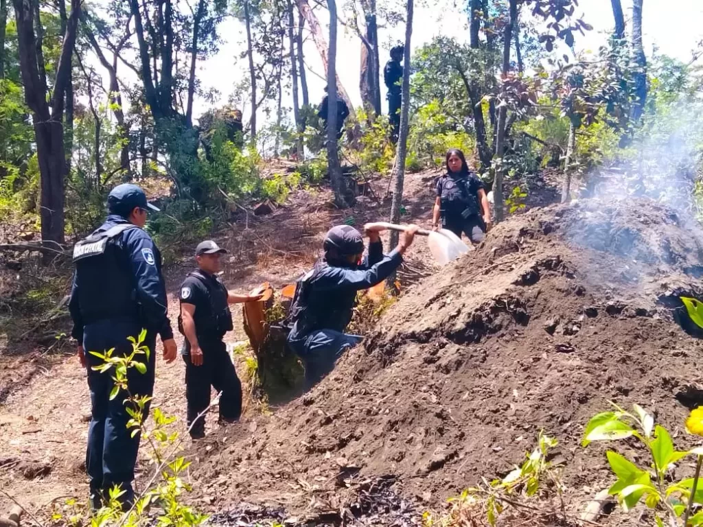 Desmantelan cinco hornos clandestinos en Xalitzintla