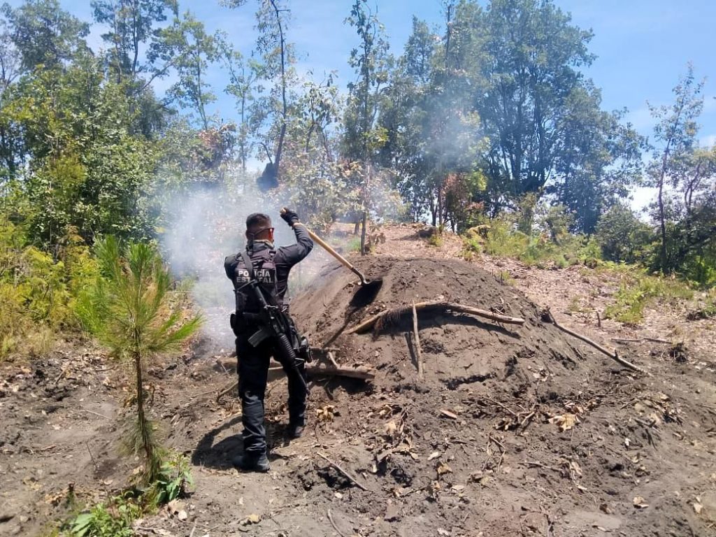 Desmantelan cinco hornos clandestinos en Xalitzintla 3