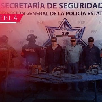 Detienen en Tetela de Ocampo a tres hombres por tala clandestina en Zitlalcuautla