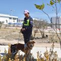 Imparte Herpetario de la FCB capacitación para manejo de organismos vivos en CU2