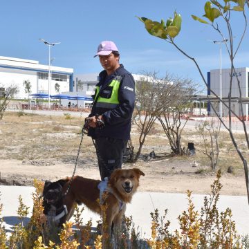 Imparte Herpetario de la FCB capacitación para manejo de organismos vivos en CU2
