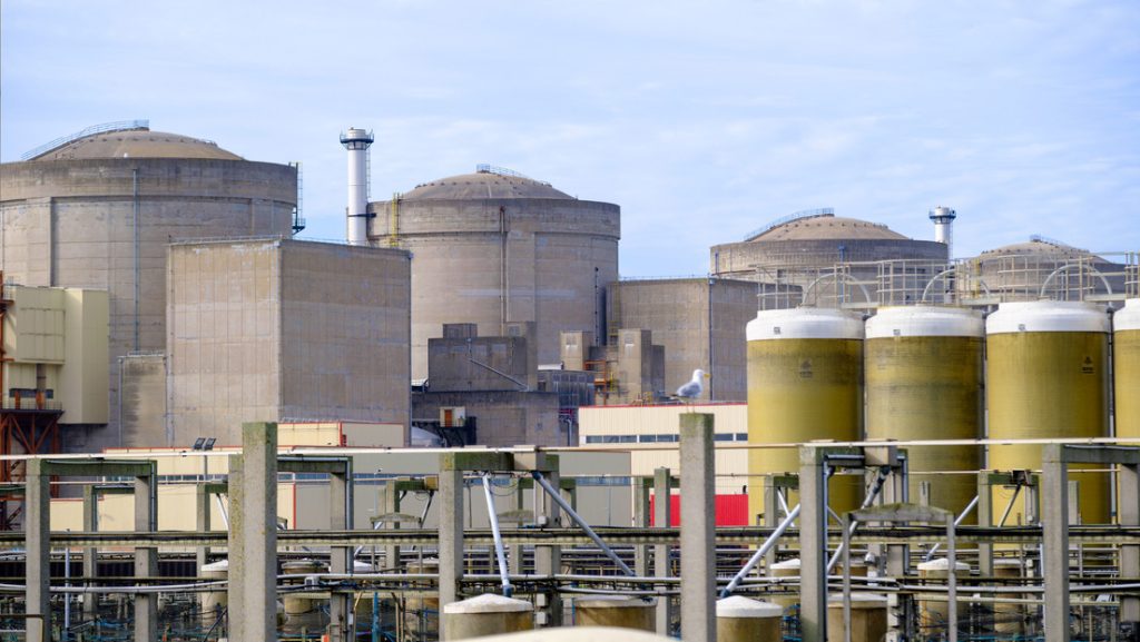 Enjambre de medusas paraliza las operaciones de la mayor central nuclear en Francia