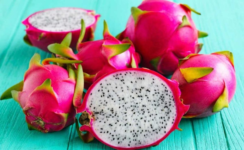 Huitziltepec se prepara para la Feria Agroartesanal de la Pitahaya y Xoconostle 2025 2 Huitziltepec se prepara para la Feria de la Pitahaya y Xoconostle 2025 3
