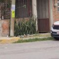 Hallan cuerpo de mujer de la tercera edad en estado de putrefacción en Puebla
